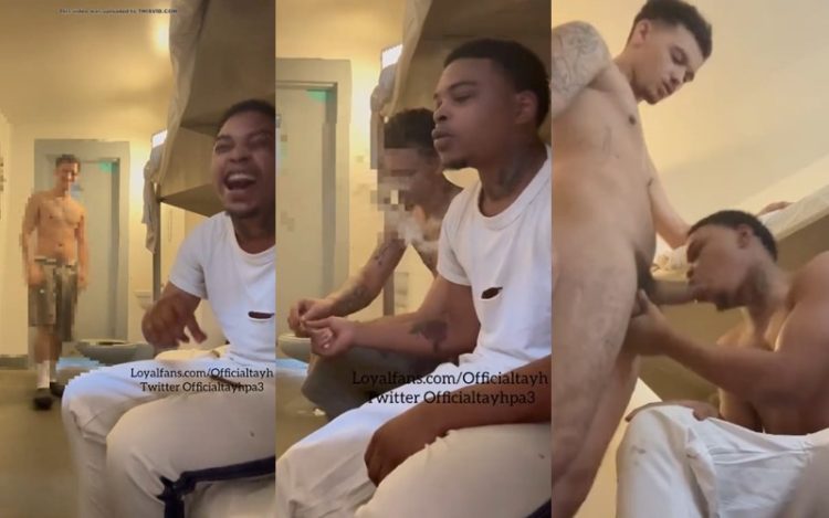 JustTheGays thumbnail for Officialtayh – jerking and milking with a friend - amateur gay porn from OnlyFans, MyVidster, GayForFans and more! - Jerk Off, Oral