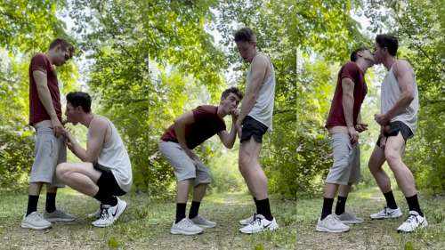 JustTheGays thumbnail for TheStepBrothers – quick blowjob and jerk off on a hike - amateur gay porn from OnlyFans, MyVidster, GayForFans and more! - Jerk Off, Oral, Outdoor, Young & Twink