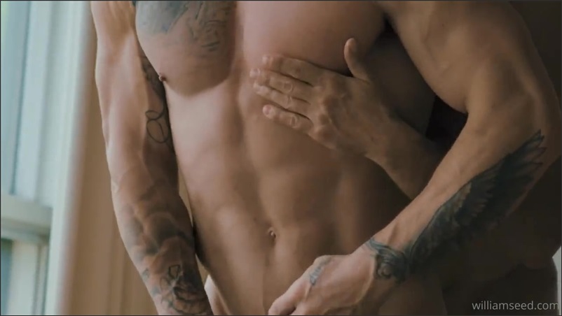 JustTheGays thumbnail for FlipFuck – William Seed and Manuel Skye - amateur gay porn from OnlyFans, MyVidster, GayForFans and more! -